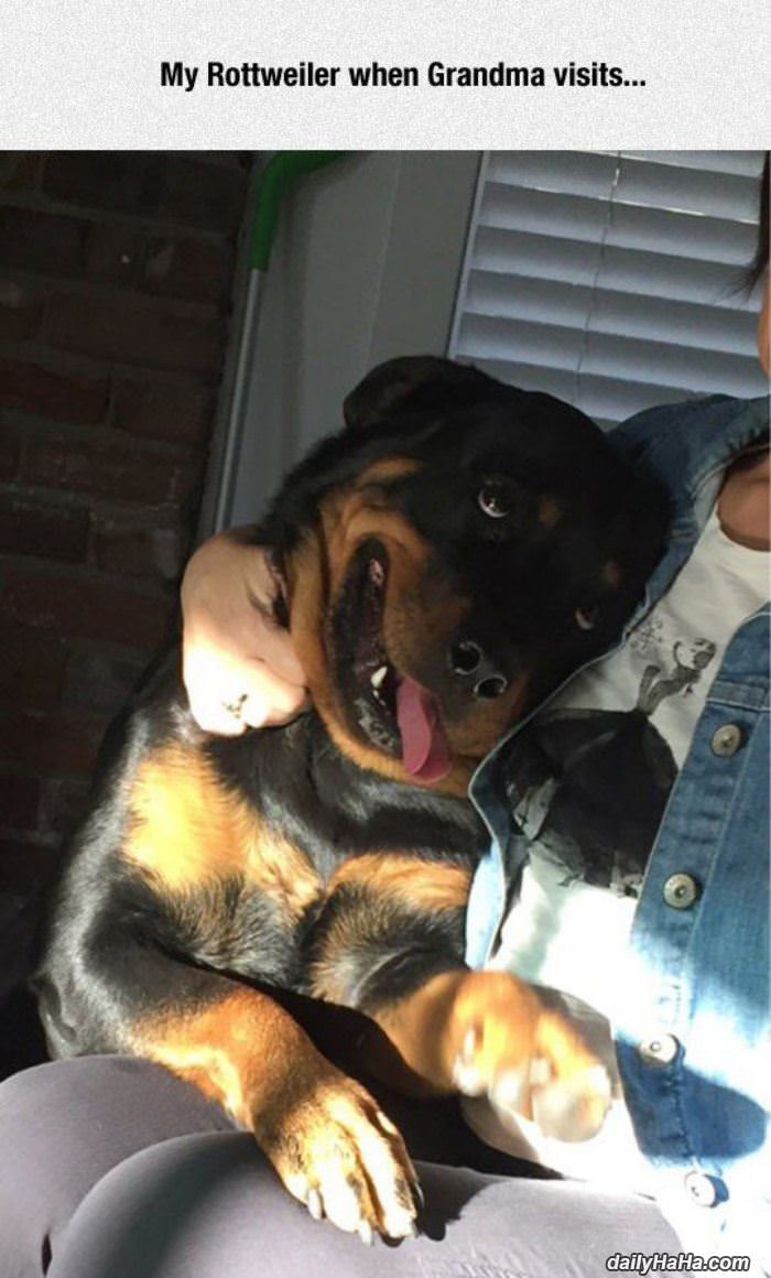 when grandma visits funny picture