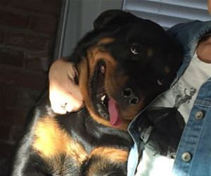 when grandma visits funny picture