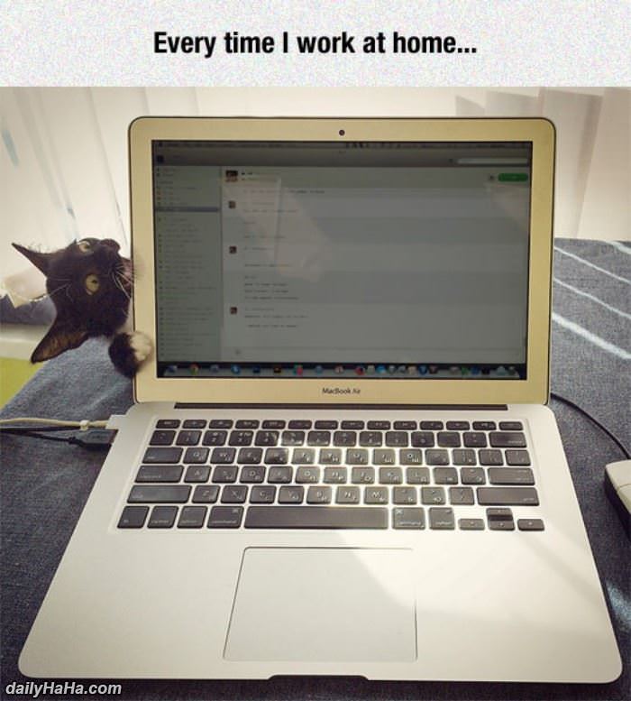 when i work at home funny picture