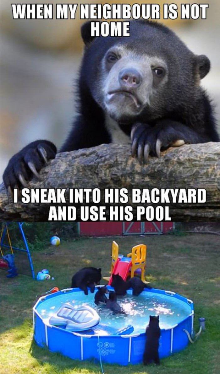when my neighbor is not home funny picture