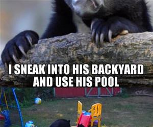 when my neighbor is not home funny picture