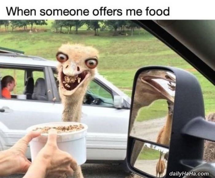 when someone offers me food funny picture