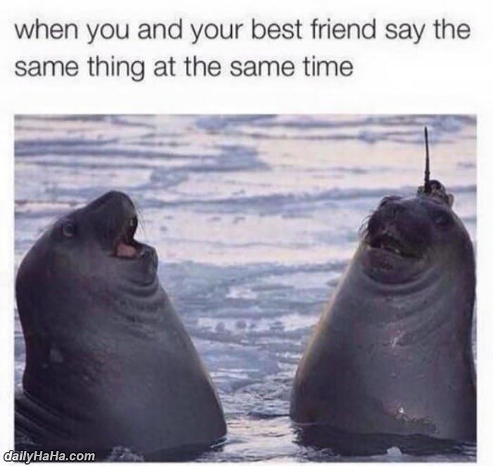your friend say the same thing funny picture
