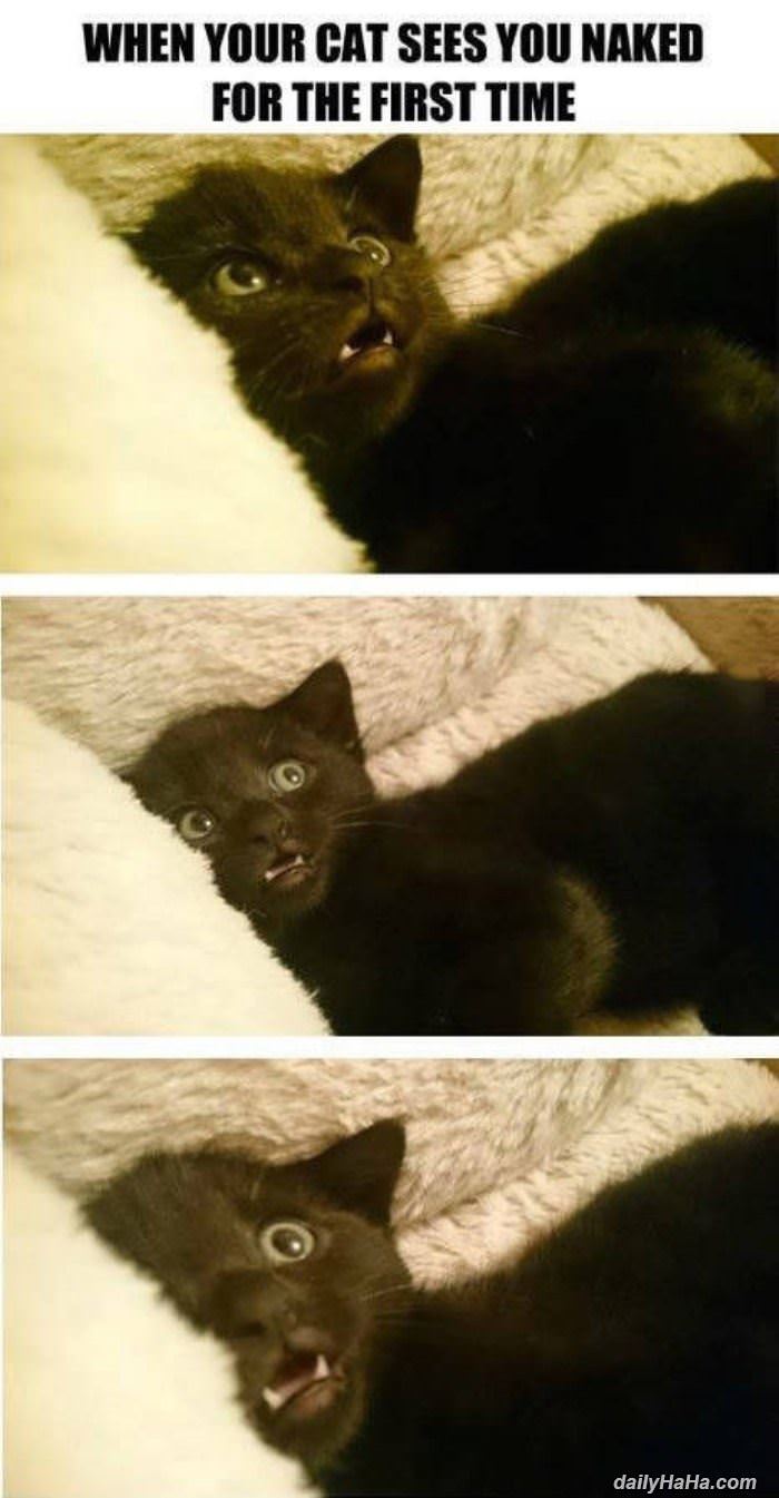 when you cat sees you naked funny picture