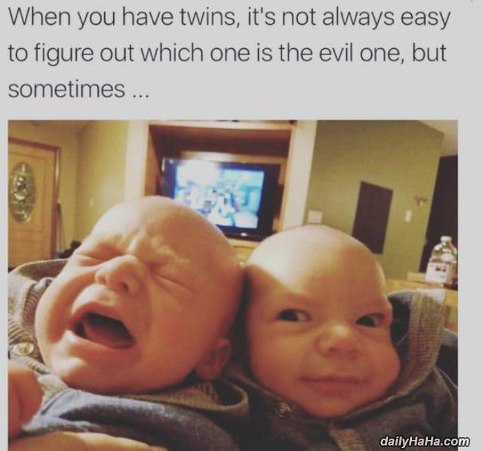 when you have twins funny picture