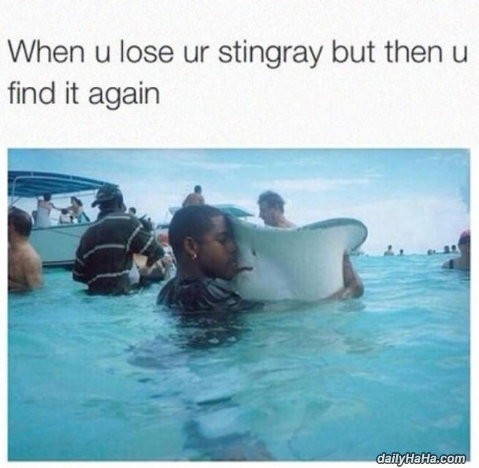 when you lose your stingray funny picture