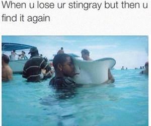 when you lose your stingray funny picture