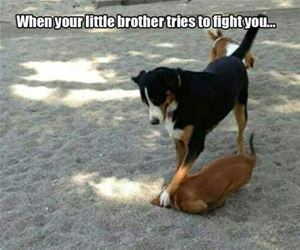 when your little brother tries to 