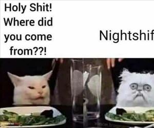 where did you come from