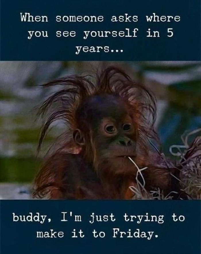 where do you see yourself ... 2