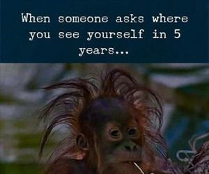 where do you see yourself ... 2