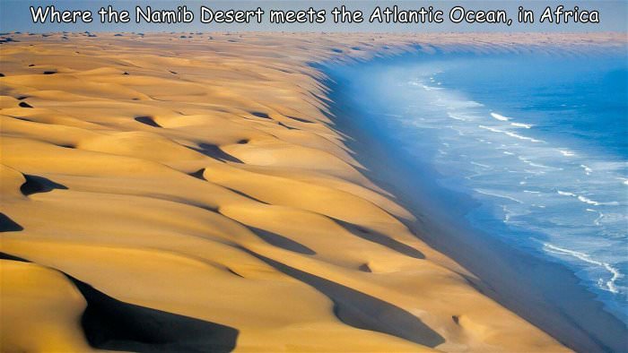 where the namib desert meets the ocean