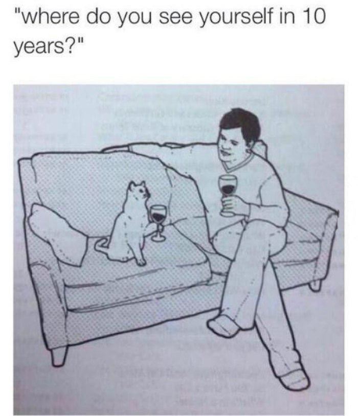 where do you see yourself funny picture