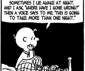 where have i gone wrong funny picture