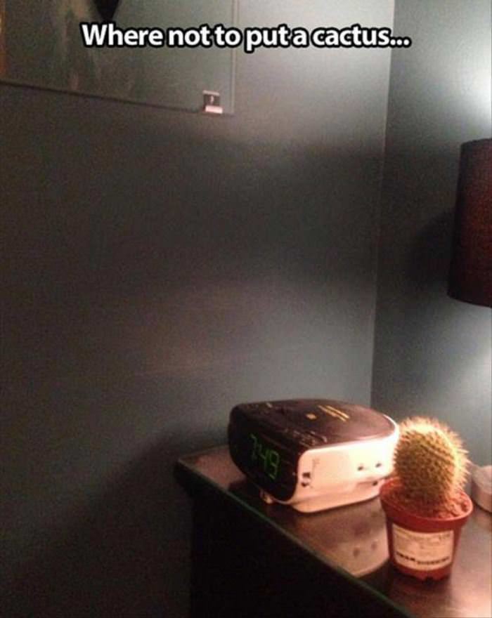 where not to put funny picture