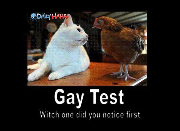 are you gay test part 1