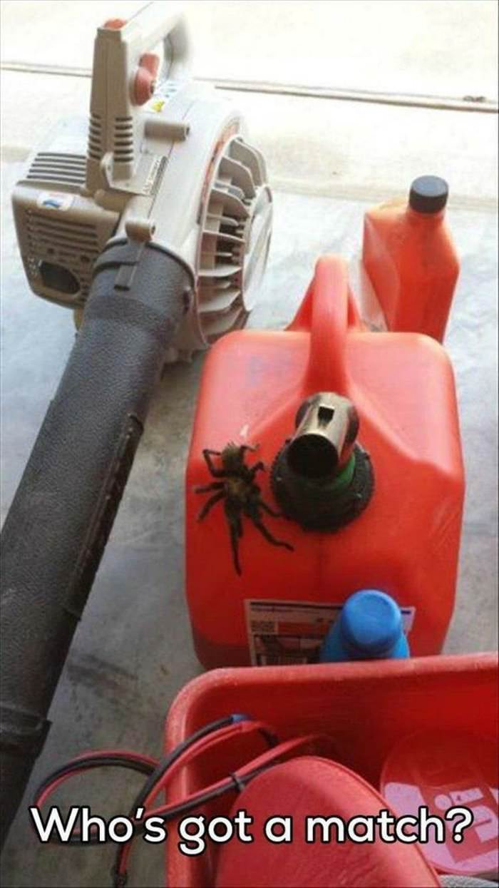 who has a match ... 2