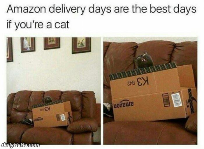 who loves amazon delivery the most funny picture