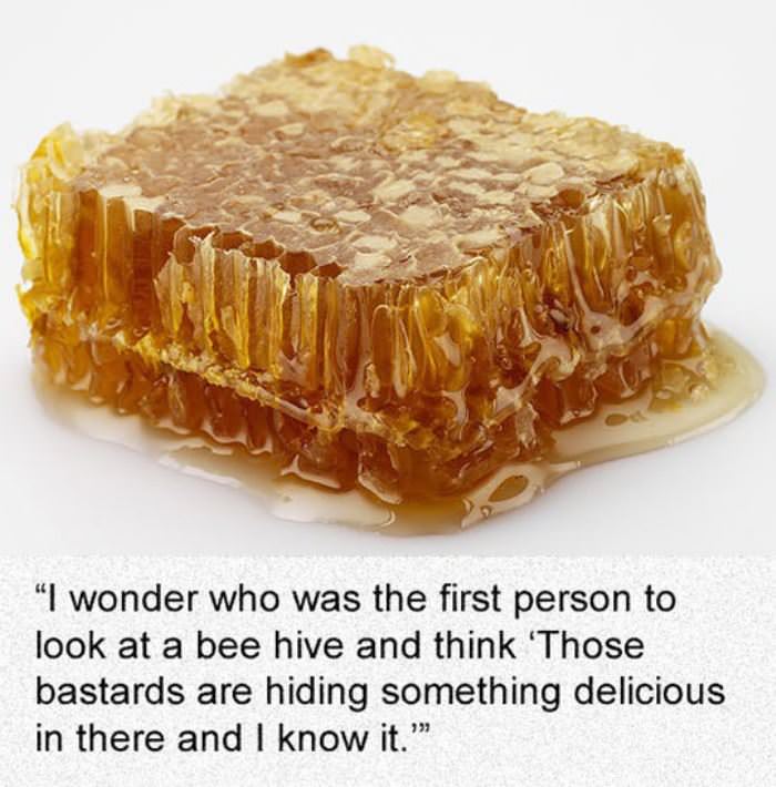 who was that guy funny picture