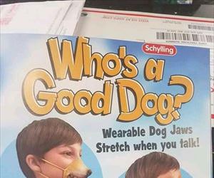 whos a good dog
