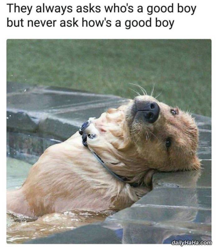 whos a good boy funny picture