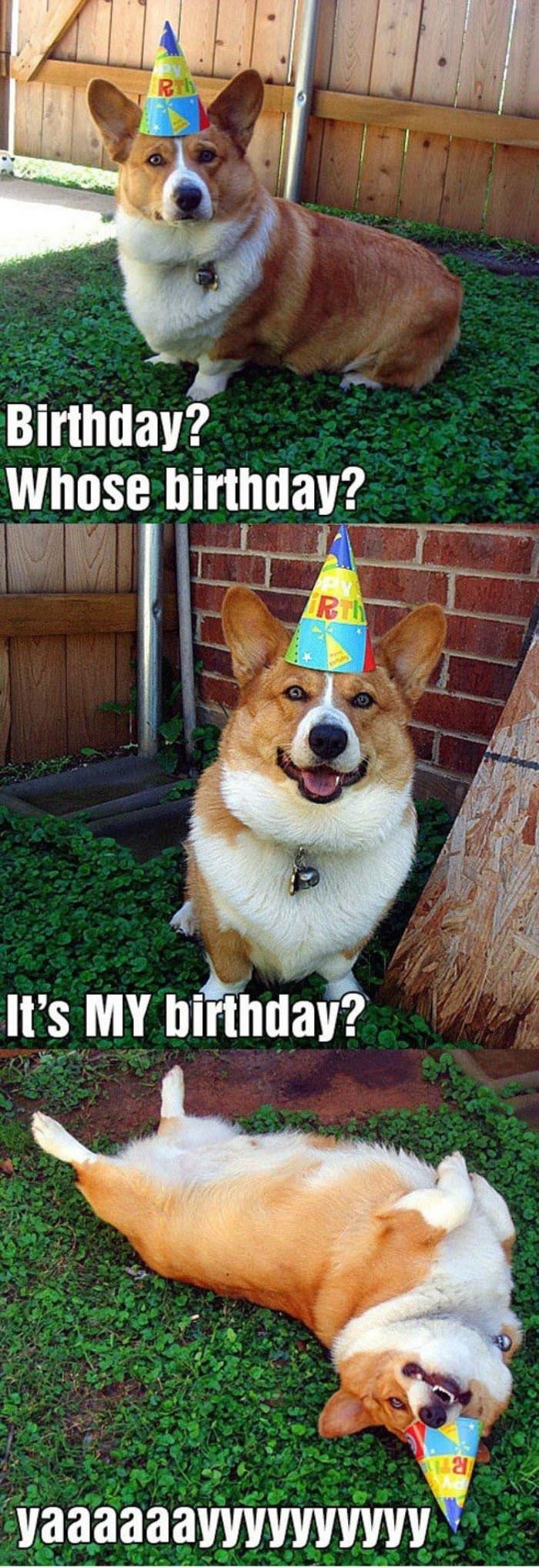 whos birthday funny picture