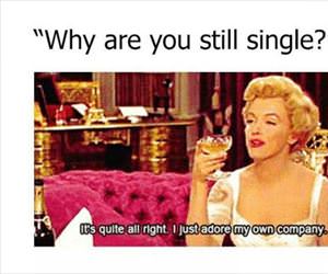 why are you single