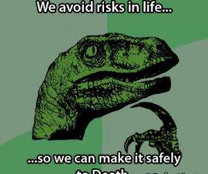 Why Avoid Risks funny picture