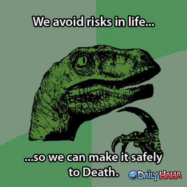 Why Avoid Risks funny picture