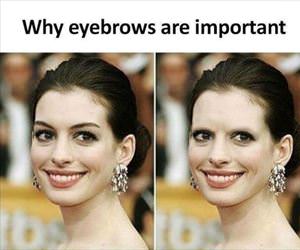 why eyebrows are important