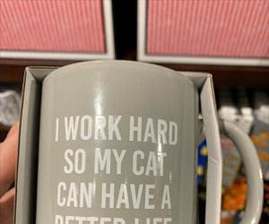 why i work hard ... 2