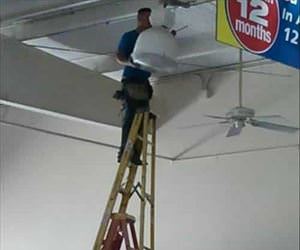 why they live longer