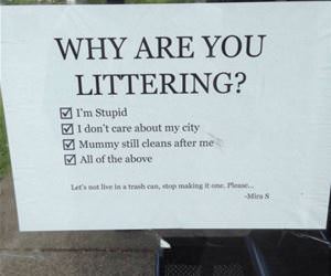 why are you littering funny picture