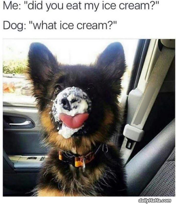 why did you eat my ice cream funny picture