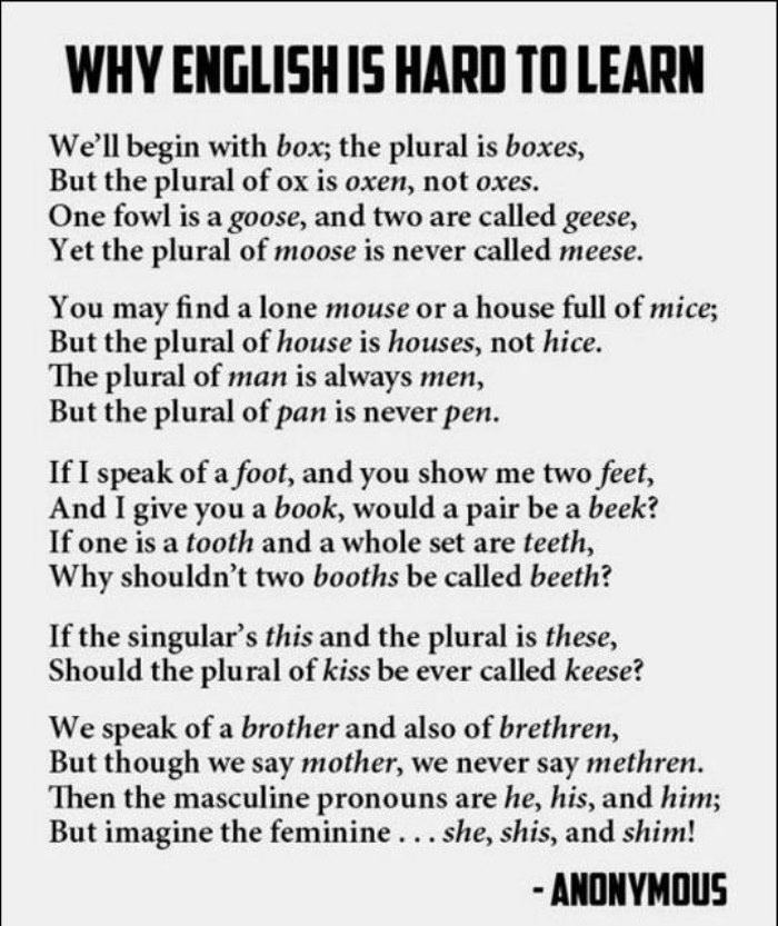why english is hard to earn funny picture