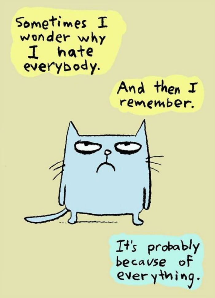why i hate everything funny picture