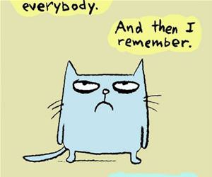 why i hate everything funny picture