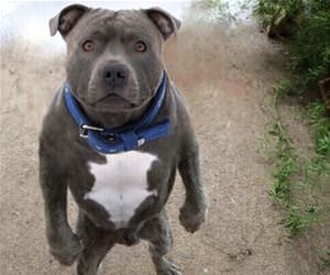 why is it empty funny picture