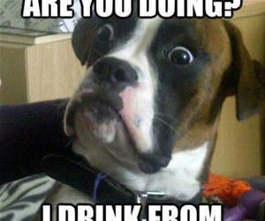 why would you go there funny picture