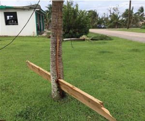 why you should stay inside funny picture