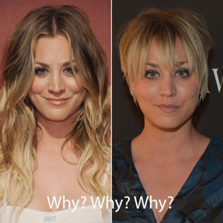 whyyyyyyyyyy funny picture