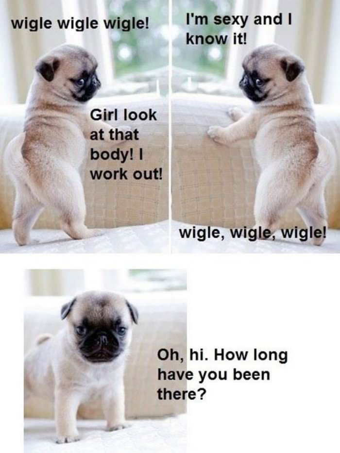 wiggle wiggle funny picture