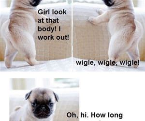 wiggle wiggle funny picture