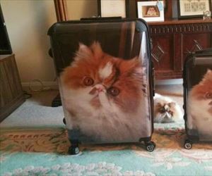 will never lose these