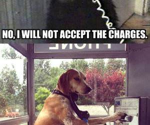 Not Accepting Charges funny picture