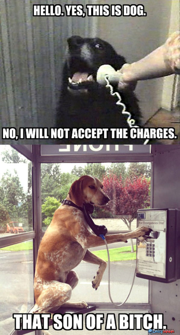 Not Accepting Charges funny picture