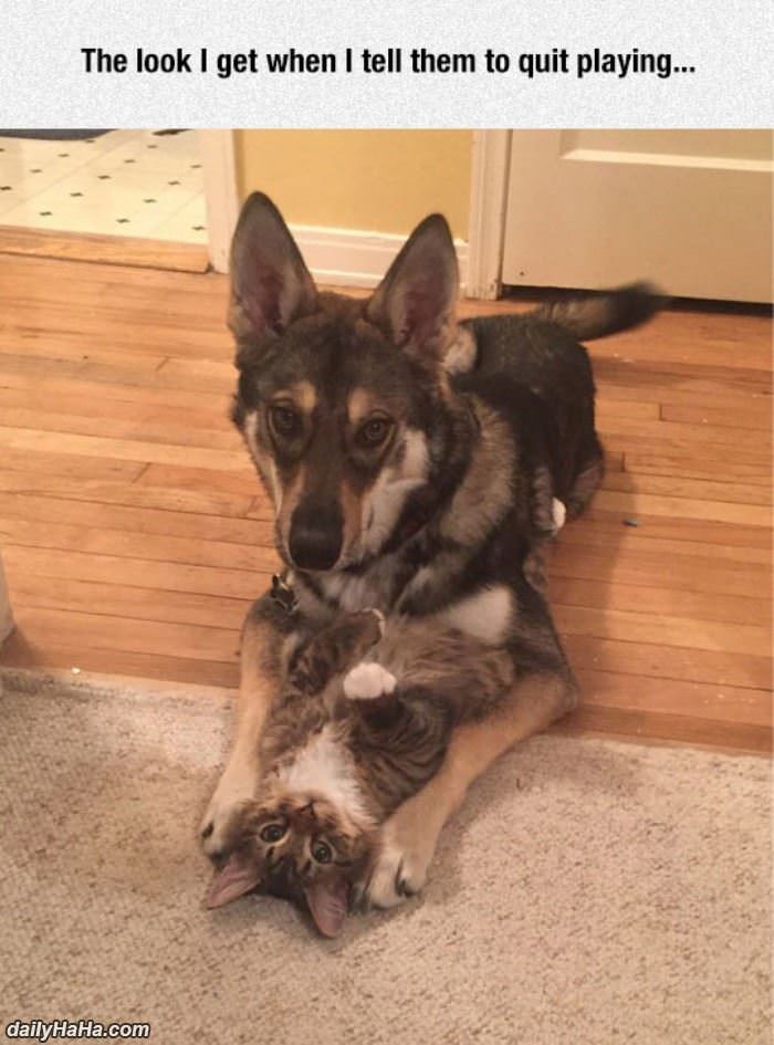 will you quit playing funny picture