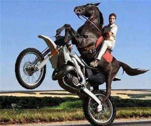 winning an argument funny picture