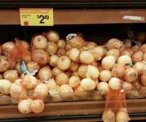 winter vs summer funny picture