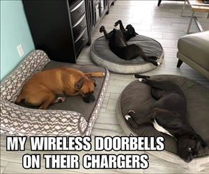 wireless-doorbells